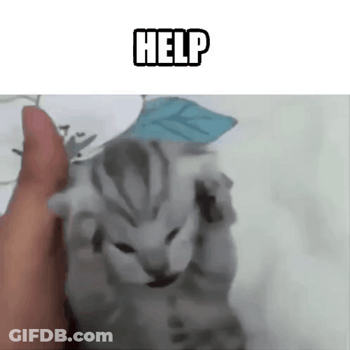 Cat Screaming Being Shaken GIF