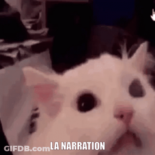 Cat Screaming Being So Mad GIF