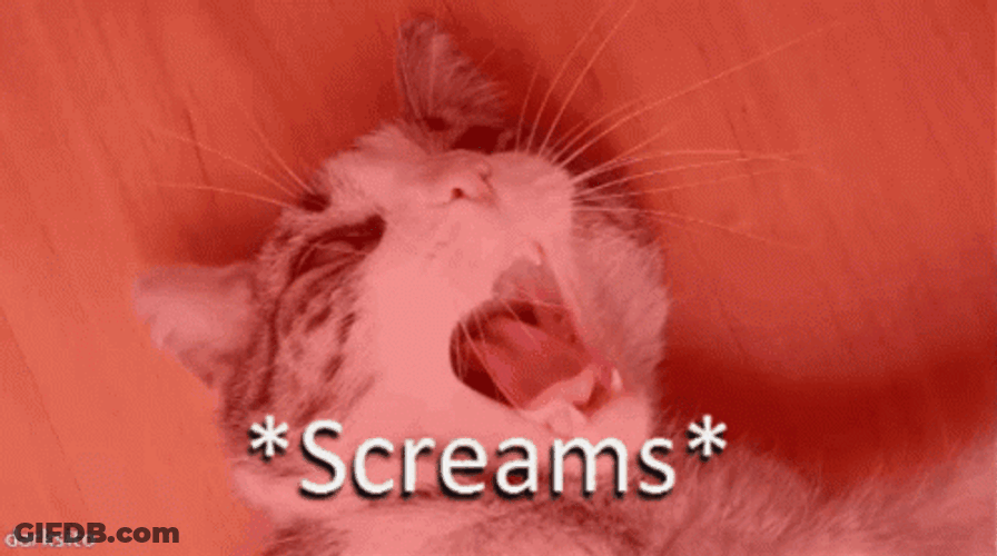 Cat Screaming On The Floor GIF