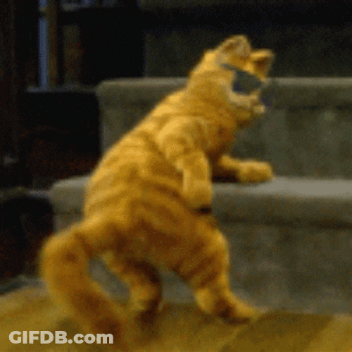 Cat Sexy Dancing Happy Garfield Sunglasses GIF