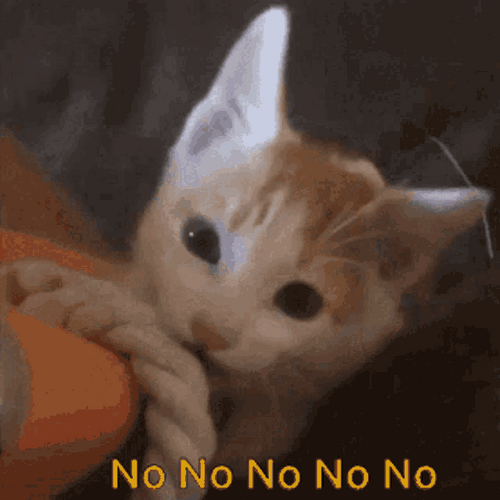 Cat Shaking Head No GIF