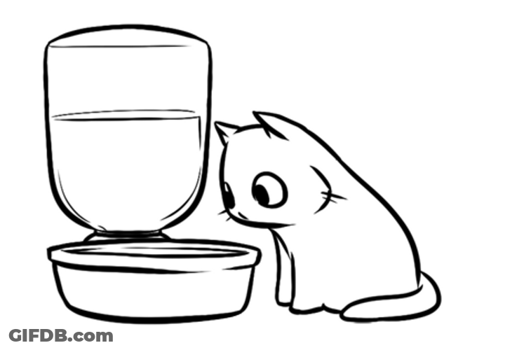 Cat Shocked With Bubbles GIF