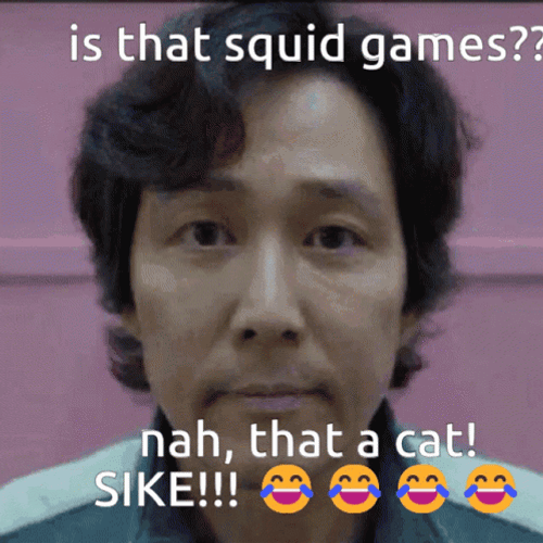 Cat Sike Squid Game GIF