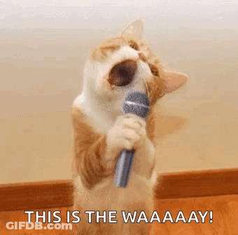 Cat Singing Into Microphone This Is The Waaaay GIF