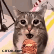 Cat Singing With Microphone GIF