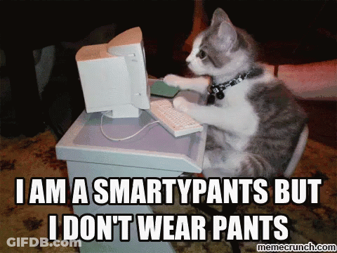 Cat Sitting At Computer Saying I Am A Smartypants GIF
