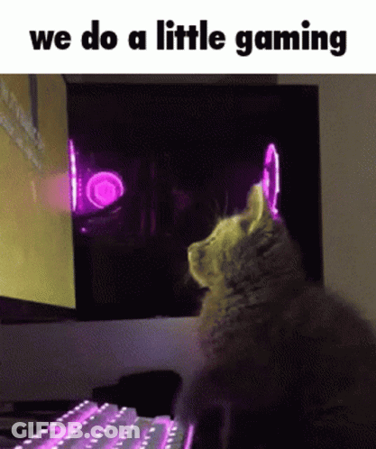 Cat Sitting At Computer Saying We Do Little Gaming GIF