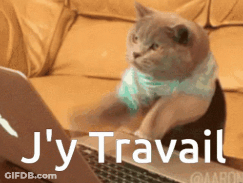 Cat Sitting At Laptop Saying J'y Travail GIF