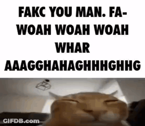 Cat Sitting Eyes Closed Saying Fakc You Man GIF