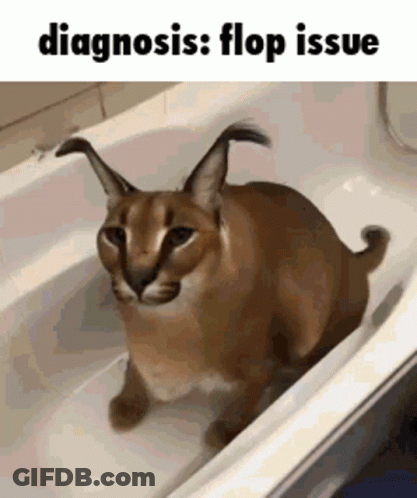 Cat Sitting In Bathtub Diagnosis: Flop Issue GIF