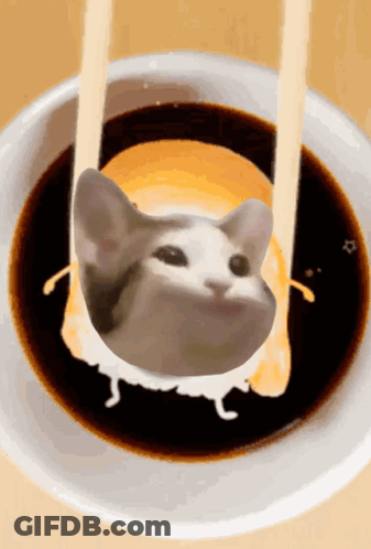 Cat Sitting In Bowl Of Sauce GIF