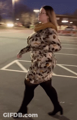 Cat Sitting In Car Driver's Seat GIF