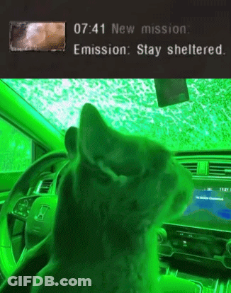Cat Sitting In Car With Green Light GIF