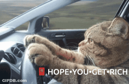 Cat Sitting In Car With Hope You Get Rich GIF