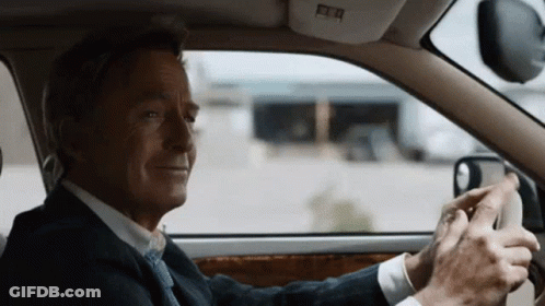Cat Sitting In Car With Hope You Get Rich GIF