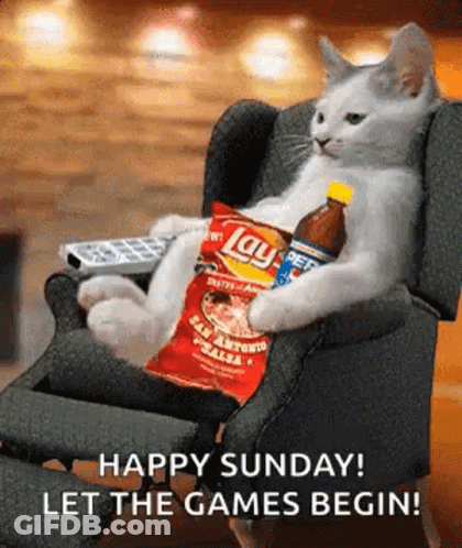 Cat Sitting In Chair With Chips And Soda GIF