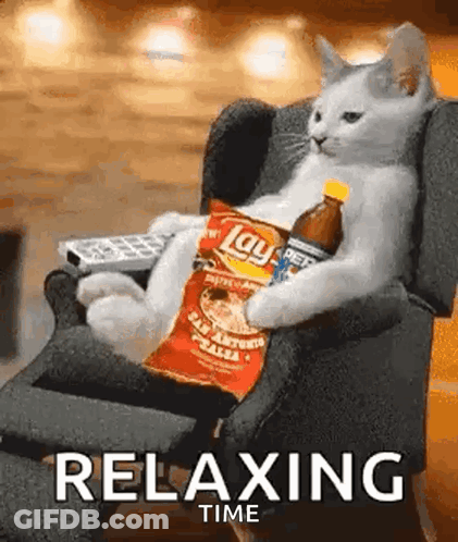 Cat Sitting In Chair With Lay's Chips And Soda GIF