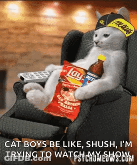Cat Sitting In Chair With Lays Chips And Soda GIF