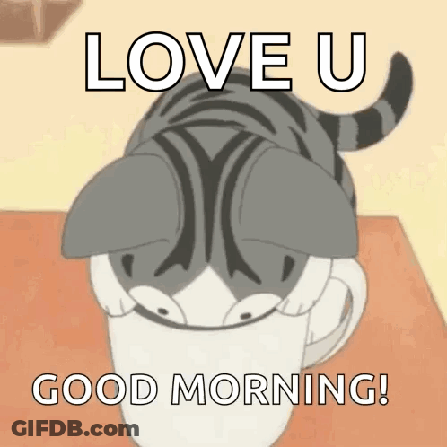 Cat Sitting In Cup Saying Love U Good Morning GIF