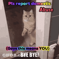 Cat Sitting In Doorway Plz Report Domestic Abuse GIF