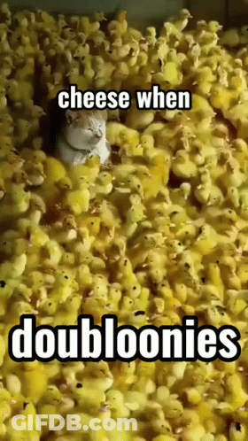 Cat Sitting In Ducklings Pile With Cheese GIF