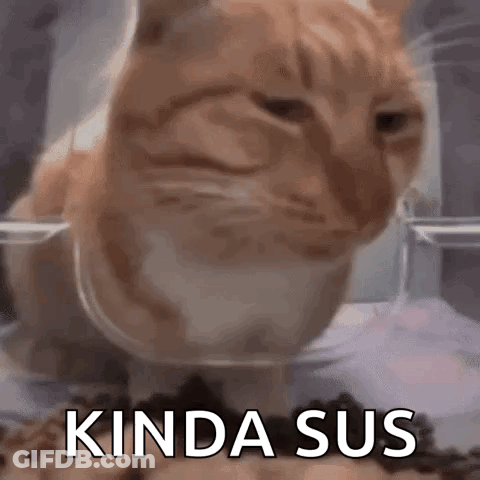 Cat Sitting In Food Bowl Kinda Sus GIF
