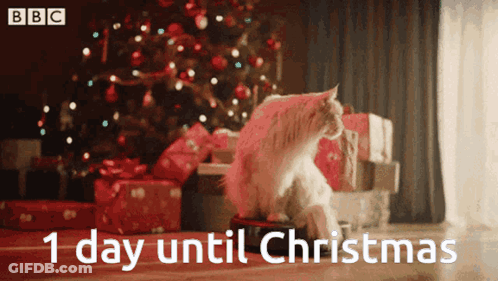 Cat Sitting In Front Of Christmas Tree Saying 1 Day Until Christmas GIF