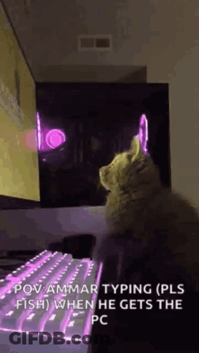Cat Sitting In Front Of Computer Keyboard GIF