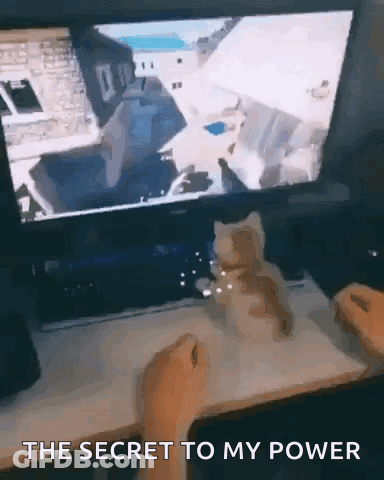 Cat Sitting In Front Of Computer Screen Saying The Secret To My Power GIF