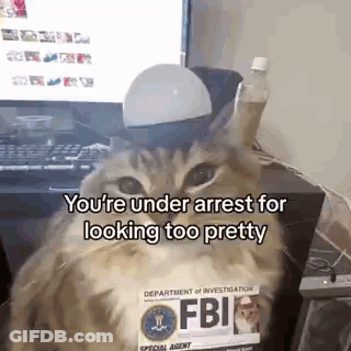 Cat Sitting In Front Of Computer GIF