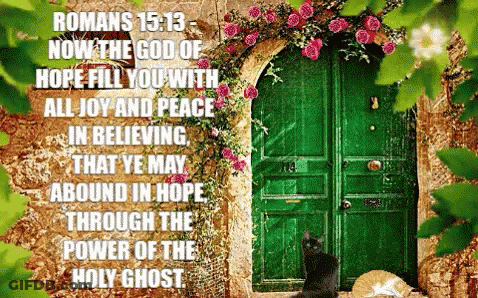 Cat Sitting In Front Of Green Door With Bible Verse GIF