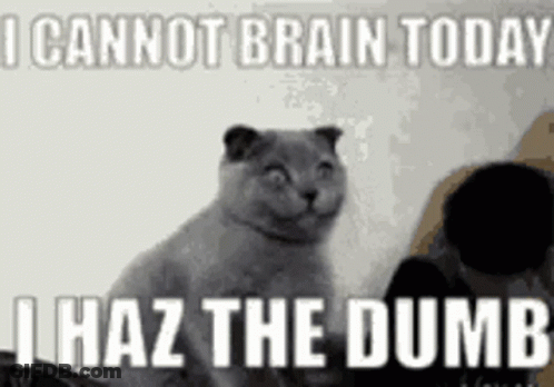Cat Sitting In Front Of I Cannot Brain Today I Haz The Dumb Sign GIF