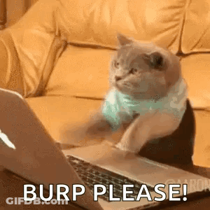 Cat Sitting In Front Of Laptop Saying Burp Please GIF