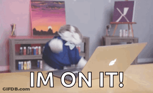 Cat Sitting In Front Of Laptop Saying Im On It GIF