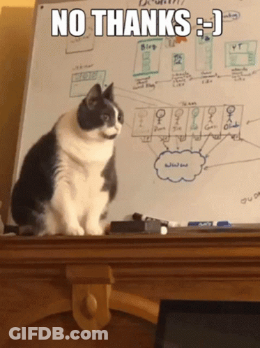Cat Sitting In Front Of No Thanks Whiteboard GIF