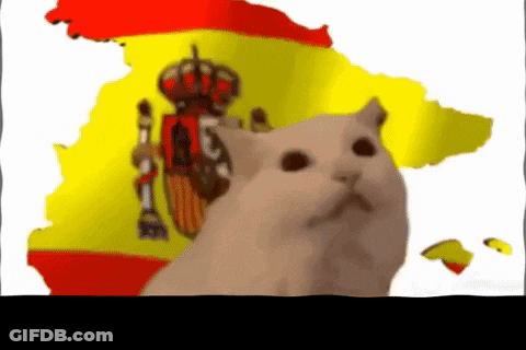 Cat Sitting In Front Of Spanish Flag GIF