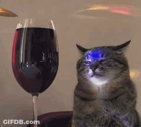 Cat Sitting In Front Of Wine GIF