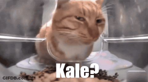 Cat Sitting In Kale Container GIF