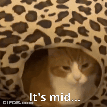 Cat Sitting In Leopard Print Bed GIF