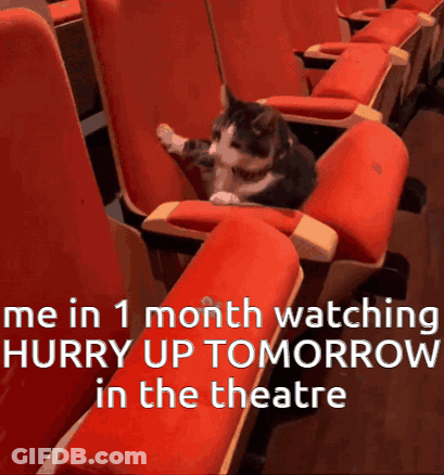 Cat Sitting In Red Seats Watching Hurry Up Tomorrow GIF