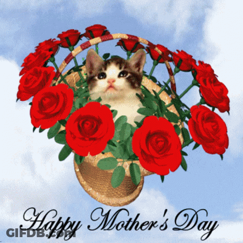 Cat Sitting In Rose Basket Happy Mother's Day GIF