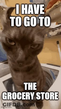 Cat Sitting In Washing Machine I Have To Go To The Grocery Store GIF
