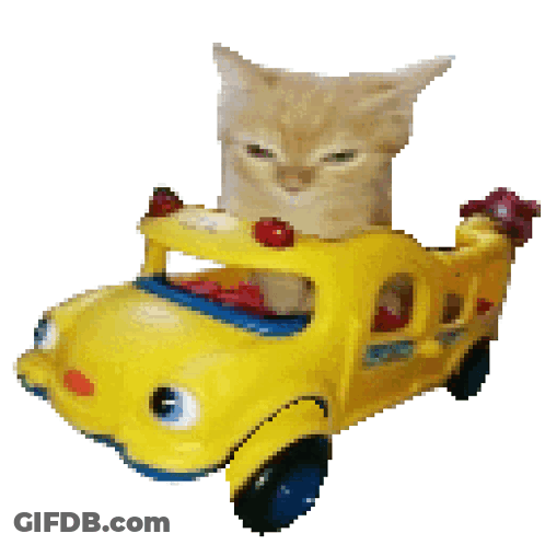 Cat Sitting In Yellow Toy Bus GIF