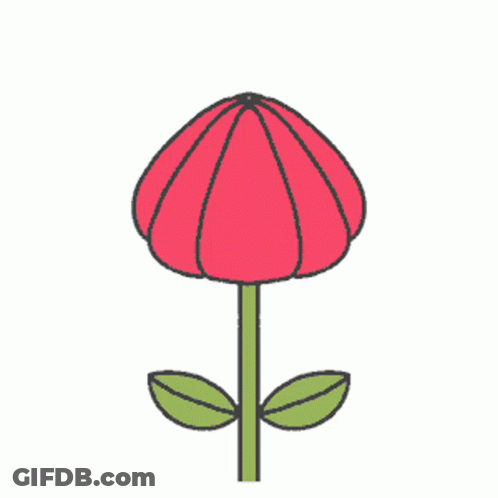 Cat Sitting Inside Red Flower Surrounded By Stars GIF