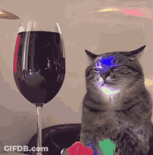 Cat Sitting Next To Glass Of Wine GIF