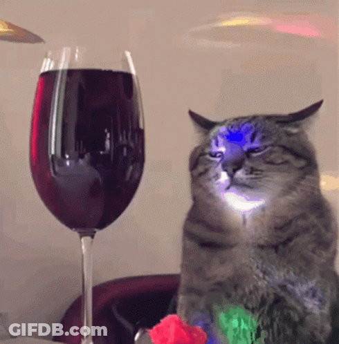 Cat Sitting Next To Glass Of Wine GIF
