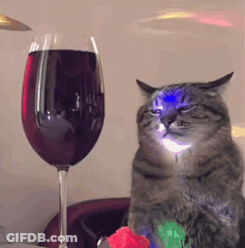 Cat Sitting Next To Glass Of Wine GIF