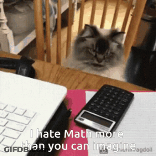 Cat Sitting Next To Laptop And Calculator GIF