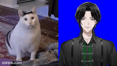 Cat Sitting Next To Man In Suit GIF