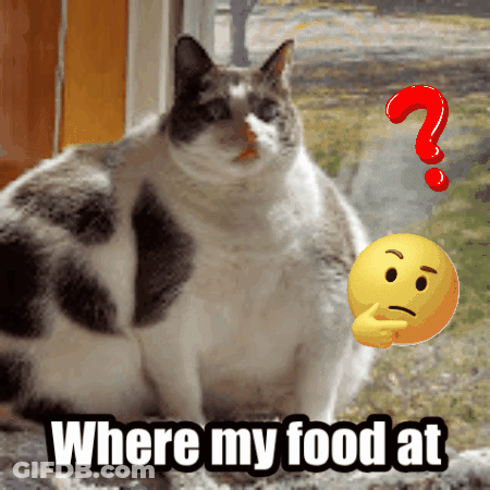 Cat Sitting Next To Question Mark And Smiley Saying Where My Food At GIF